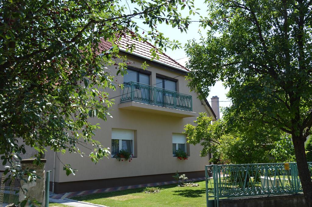 Apartman Aniko Vendeghaz 哈卡尼 外观 照片